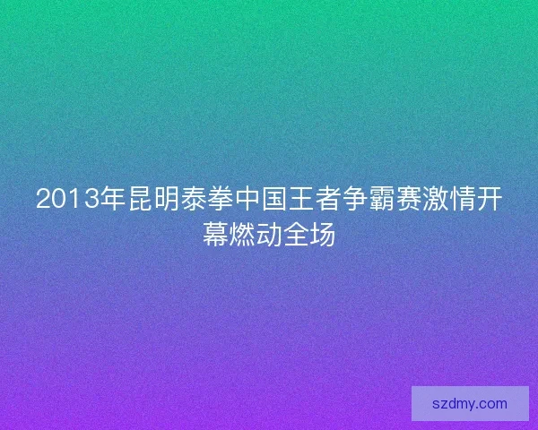 2013年昆明泰拳中国王者争霸赛激情开幕燃动全场