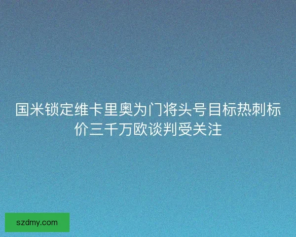 国米锁定维卡里奥为门将头号目标热刺标价三千万欧谈判受关注