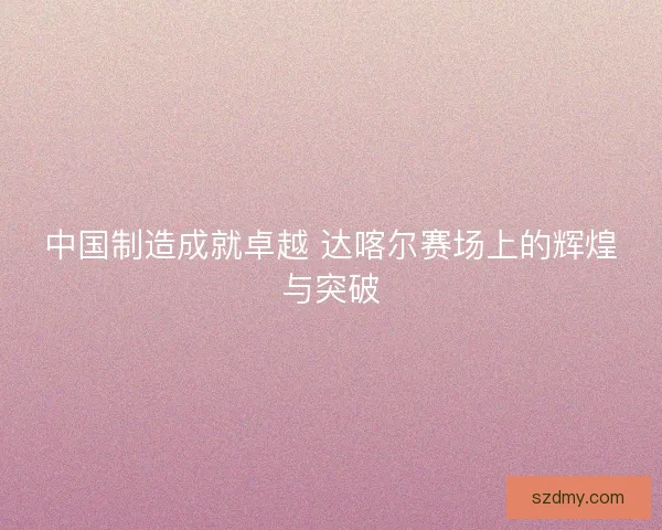 中国制造成就卓越 达喀尔赛场上的辉煌与突破